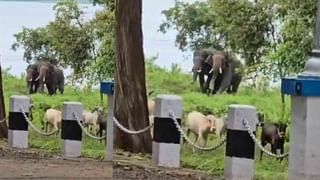 ನೌಕಾಪಡೆಯ ಸಿಬ್ಬಂದಿಗೆ ಸ್ವೀಟ್ ತಿನ್ನಿಸಿ ದೀಪಾವಳಿಯ ಶುಭಾಶಯ ಕೋರಿದ ಪ್ರಧಾನಿ ಮೋದಿ