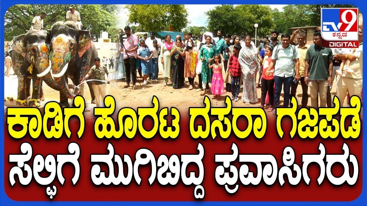 ಮೈಸೂರು ದಸರಾ: ಗಜಪಡೆಗೆ ಸಾಂಪ್ರದಾಯಿಕ ಬೀಳ್ಕೊಡುಗೆ