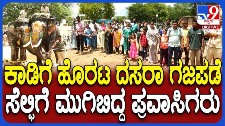 ಮೈಸೂರು ದಸರಾ: ಗಜಪಡೆಗೆ ಸಾಂಪ್ರದಾಯಿಕ ಬೀಳ್ಕೊಡುಗೆ ಮೈಸೂರು ದಸರಾ: ಗಜಪಡೆಗೆ ಸಾಂಪ್ರದಾಯಿಕ ಬೀಳ್ಕೊಡುಗೆ
