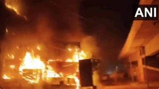 Video: ತನ್ನಷ್ಟಕ್ಕೆ ರಸ್ತೆಯಲ್ಲಿ ನಡೆದುಕೊಂಡು ಹೋಗುತ್ತಿದ್ದ 7 ವರ್ಷದ ಬಾಲಕಿ ಮೇಲೆ ಹತ್ತಾರು ನಾಯಿಗಳಿಂದ ದಾಳಿ