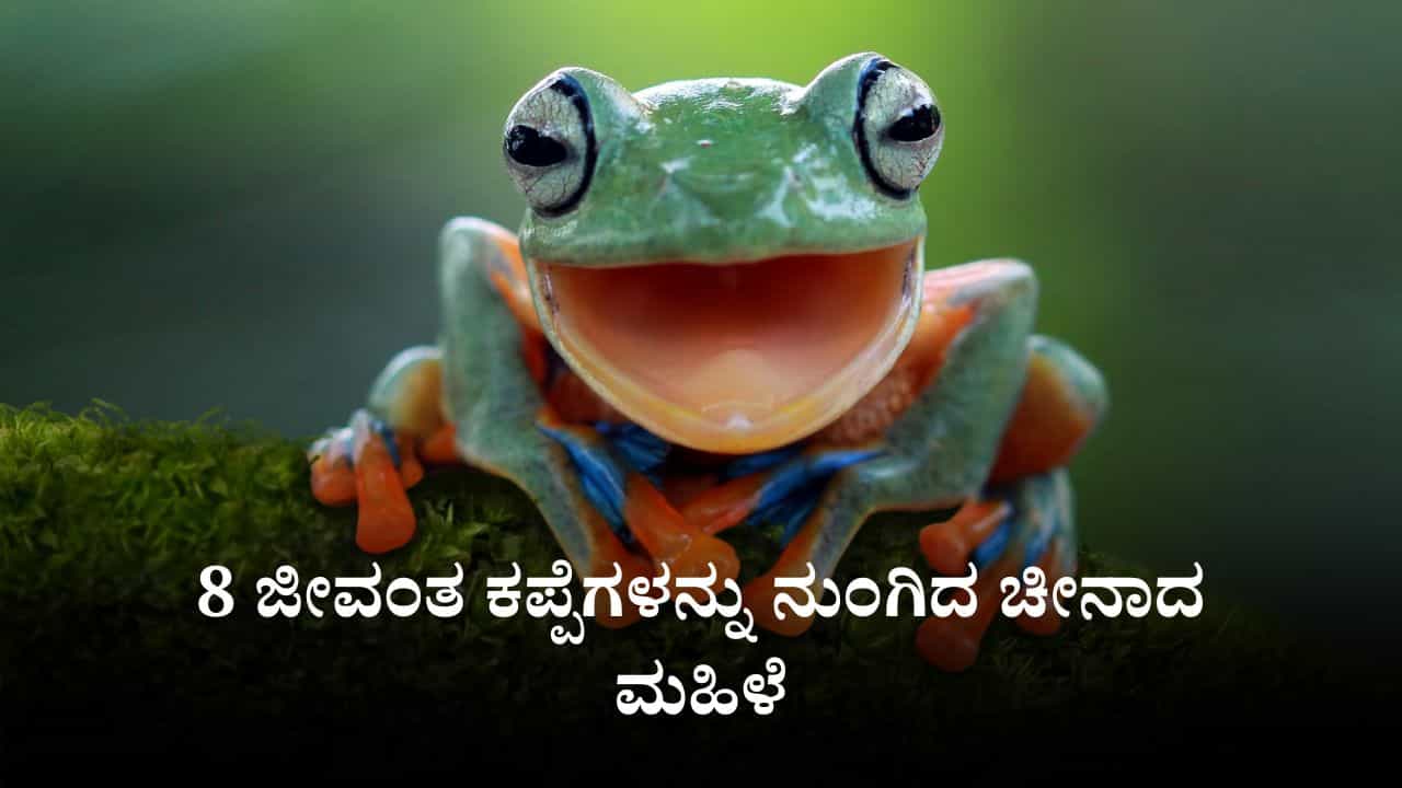 ವಿಪರೀತ ಬೆನ್ನುನೋವೆಂದು 8 ಜೀವಂತ ಕಪ್ಪೆಗಳನ್ನು ನುಂಗಿದ ಚೀನಾದ ಮಹಿಳೆ, ಆಮೇಲೇನಾಯ್ತು?