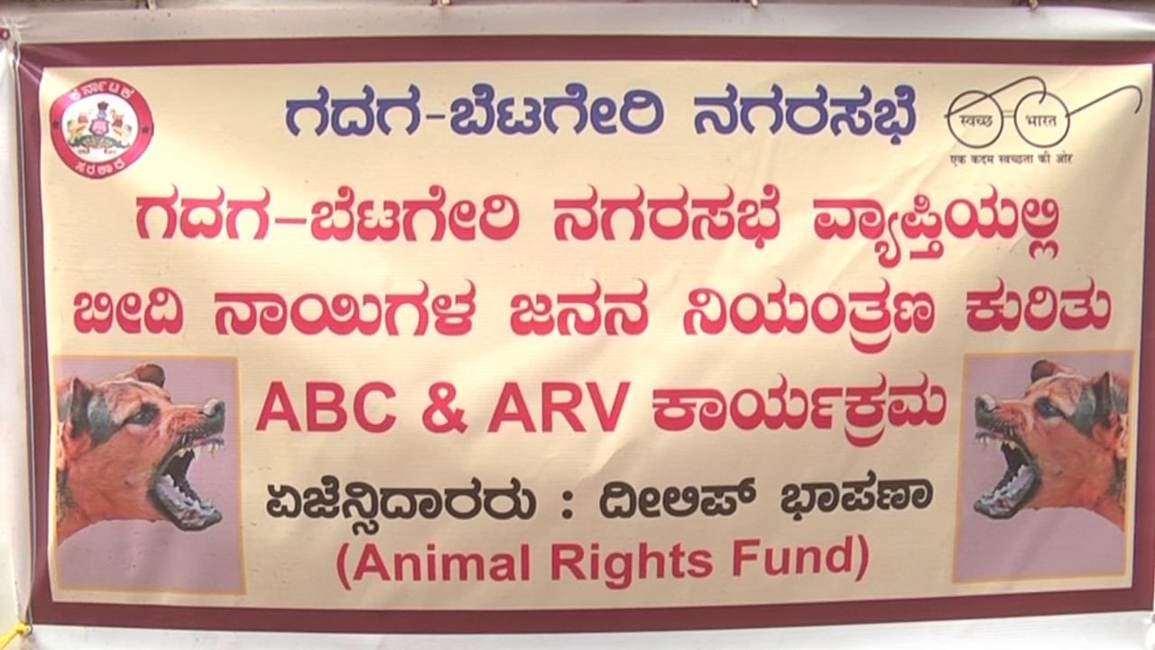 ಗದಗದಲ್ಲಿ ಬೀದಿ ನಾಯಿಗಳ ಕಾರ್ಯಾಚರಣೆ ಆರಂಭ; ಟಿವಿ9 ವರದಿಯ ಬಿಗ್ ಇಂಪ್ಯಾಕ್ಟ್