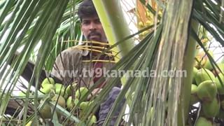 ಬೆಂಗಳೂರಿನಲ್ಲಿ ಮಲತಂದೆಯಿಂದ ಬಾಲಕಿ ಸಿರಿ ಹತ್ಯೆ ಪ್ರಕರಣ ; ಶುಕ್ರವಾರ ಆ ಮನೆಯಲ್ಲಿ ನಡೆದಿದ್ದೇನು!