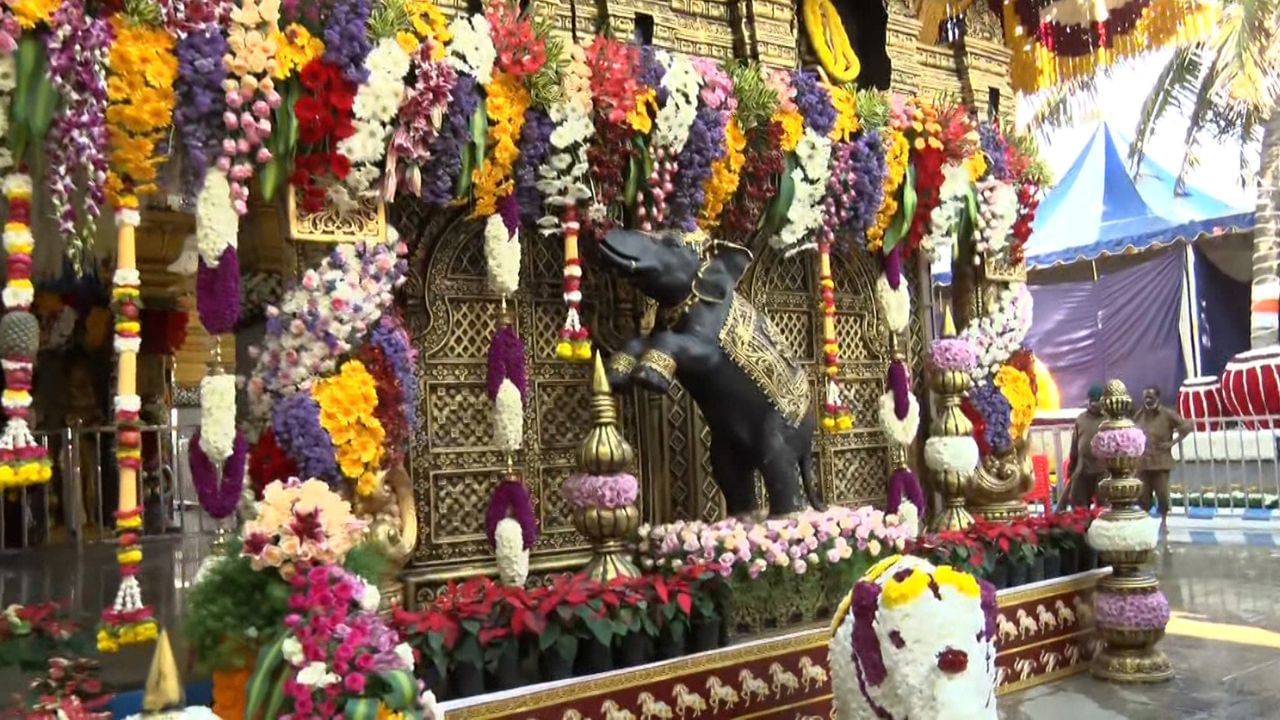 Hasanamba Temple: ಭಕ್ತರ ದರ್ಶನಕ್ಕೆ ತೆರೆದ ಹಾಸನಾಂಬೆ ದೇಗುಲ