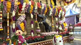 ಹಾಸನಾಂಬೆ ದೇಗುಲದ ಬಾಗಿಲು ಓಪನ್ ಹಾಸನಾಂಬೆ ದೇಗುಲದ ಬಾಗಿಲು ಓಪನ್