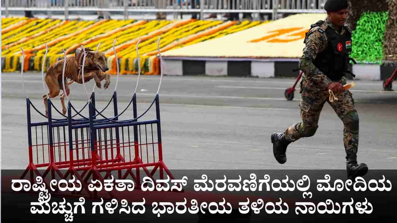 ರಾಷ್ಟ್ರೀಯ ಏಕತಾ ದಿವಸ್ ಮೆರವಣಿಗೆಯಲ್ಲಿ ಮೋದಿಯ ಮೆಚ್ಚುಗೆ ಗಳಿಸಿದ ಭಾರತೀಯ ತಳಿಯ ನಾಯಿಗಳು