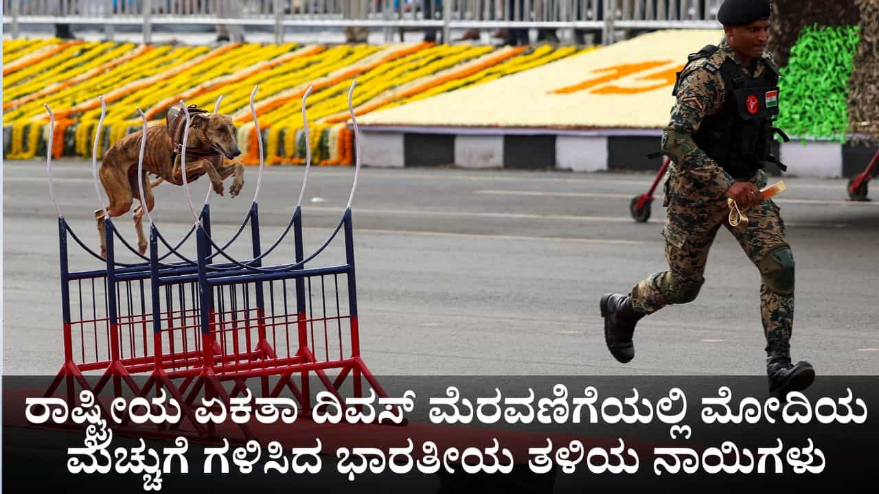 ರಾಷ್ಟ್ರೀಯ ಏಕತಾ ದಿವಸ್ ಮೆರವಣಿಗೆಯಲ್ಲಿ ಮೋದಿಯ ಮೆಚ್ಚುಗೆ ಗಳಿಸಿದ ಭಾರತೀಯ ತಳಿಯ ನಾಯಿಗಳು