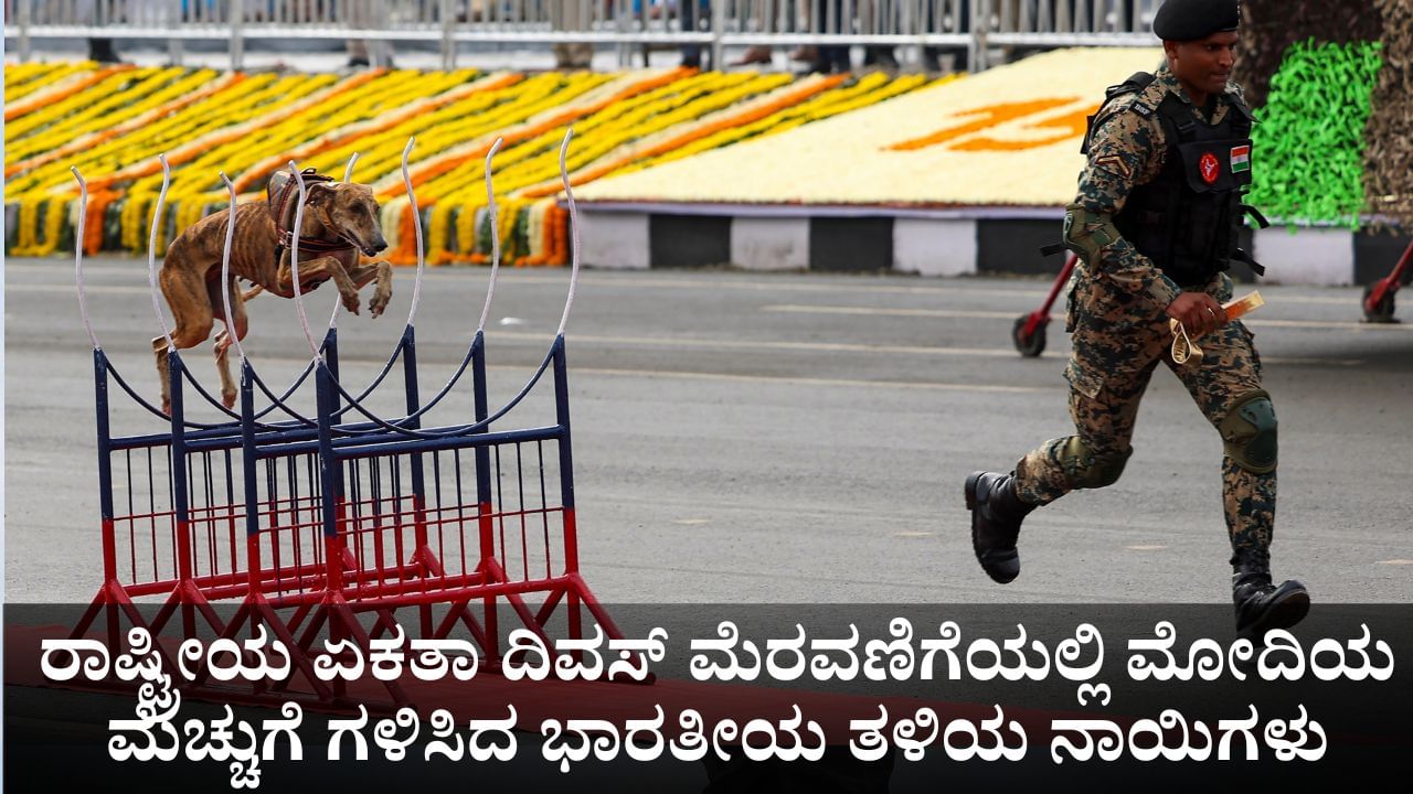 ರಾಷ್ಟ್ರೀಯ ಏಕತಾ ದಿವಸ್ ಮೆರವಣಿಗೆಯಲ್ಲಿ ಮೋದಿಯ ಮೆಚ್ಚುಗೆ ಗಳಿಸಿದ ಭಾರತೀಯ ತಳಿಯ ನಾಯಿಗಳು