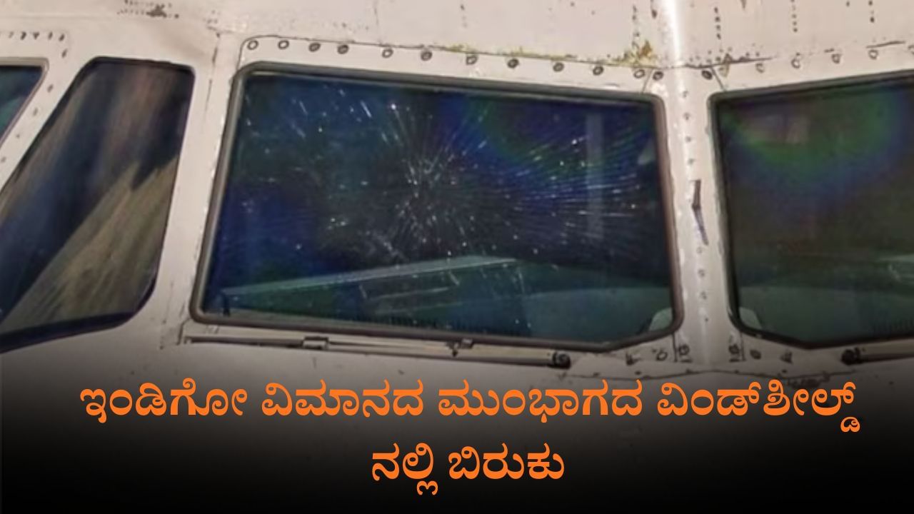ಇಂಡಿಗೋ ವಿಮಾನದ ಮುಂಭಾಗದ ವಿಂಡ್​ಶೀಲ್ಡ್​​ನಲ್ಲಿ ಬಿರುಕು