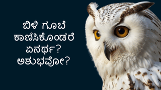 Daily Devotional: ದ್ವಿಮುಖ ರುದ್ರಾಕ್ಷಿ ಧಾರಣೆಯ ಮಹತ್ವ ಹಾಗೂ ರಹಸ್ಯ