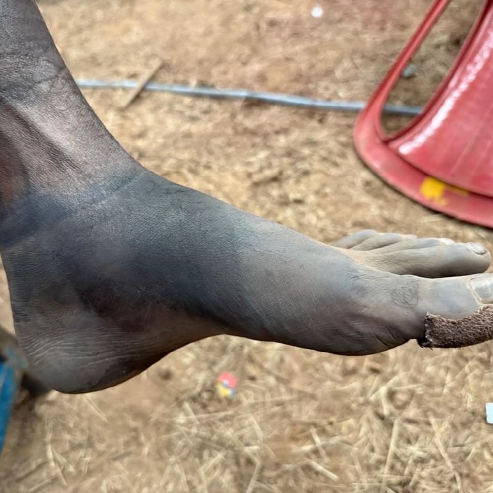 ಅರಣ್ಯ ಪ್ರದೇಶದಲ್ಲಿ ವಿಷಮ ಪರಿಸ್ಥಿತಿಗಳಲ್ಲಿ, ಮೇಕಪ್ ಧರಿಸಿ ಗಂಟೆ ಗಟ್ಟಲೆ ನಡೆದೇ ಶೂಟಿಂಗ್ ಸ್ಥಳ ಸೇರಬೇಕಿತ್ತಂತೆ. ಇಂಥಹಾ ನೂರಾರು ಕಷ್ಟಗಳನ್ನು ಎದುರಿಸಿ ಸಿನಿಮಾ ಮಾಡಿದ್ದಾರೆ ರಿಷಬ್.