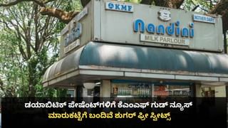 ಮಧುಮೇಹಿಗಳಿಗೆ ಕೆಎಂಎಫ್ ದೀಪಾವಳಿ ಗಿಫ್ಟ್: ನಂದಿನಿ ಶುಗರ್ ಫ್ರೀ ಸಿಹಿತಿಂಡಿಗಳು ಮಾರುಕಟ್ಟೆಗೆ