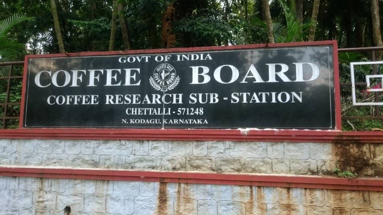 Kodagu Coffee Board Recruitment: ಕೊಡಗು ಕಾಫಿ ಬೋರ್ಡ್ನಲ್ಲಿ ಉದ್ಯೋಗ ಪಡೆಯಲು ಇಲ್ಲಿದೆ ಸುವರ್ಣವಕಾಶ; ಪದವೀಧರರು ಅರ್ಹರು Kodagu Coffee Board Recruitment: ಕೊಡಗು ಕಾಫಿ ಬೋರ್ಡ್ನಲ್ಲಿ ಉದ್ಯೋಗ ಪಡೆಯಲು ಇಲ್ಲಿದೆ ಸುವರ್ಣವಕಾಶ; ಪದವೀಧರರು ಅರ್ಹರು