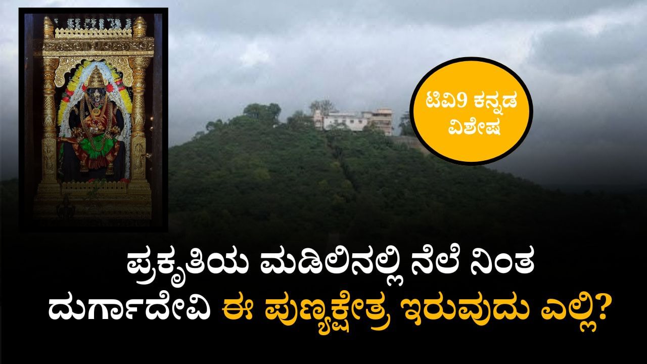 ಹಚ್ಚಹಸಿರಾದ ವನರಾಶಿಯ ಸೊಬಗು, ಬೆಟ್ಟದ ಮೇಲೆ ದುರ್ಗಾದೇವಿ ದೇವಾಲಯ