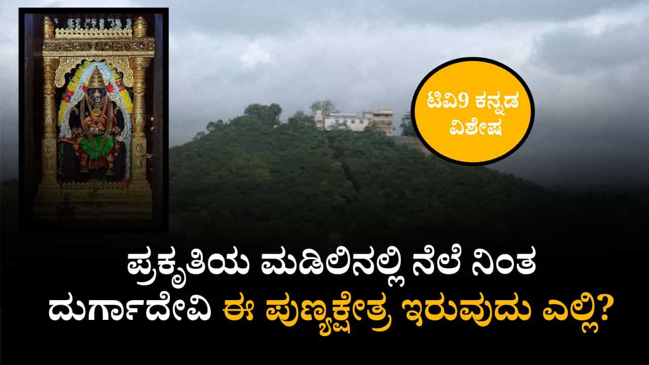 ಹಚ್ಚಹಸಿರಾದ ವನರಾಶಿಯ ಸೊಬಗು, ಬೆಟ್ಟದ ಮೇಲೆ ದುರ್ಗಾದೇವಿ ದೇವಾಲಯ ಹಚ್ಚಹಸಿರಾದ ವನರಾಶಿಯ ಸೊಬಗು, ಬೆಟ್ಟದ ಮೇಲೆ ದುರ್ಗಾದೇವಿ ದೇವಾಲಯ