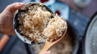 ಬೆಂಗಳೂರಿನಲ್ಲಿ ಹೆಚ್ಚುತ್ತಿದೆ ಹಂದಿ ಜ್ವರ; ಈ ಲಕ್ಷಣಗಳನ್ನು ನಿರ್ಲಕ್ಷ್ಯಿಸಬೇಡಿ!