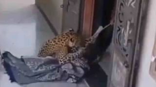 Mysore Dasara 2025: ದಸರಾ ಮೆರುಗು ಹೆಚ್ಚಿಸುವ ಸ್ತಬ್ಧಚಿತ್ರಗಳ ತಯಾರಿ ಹೇಗಿರುತ್ತೆ ನೋಡಿ