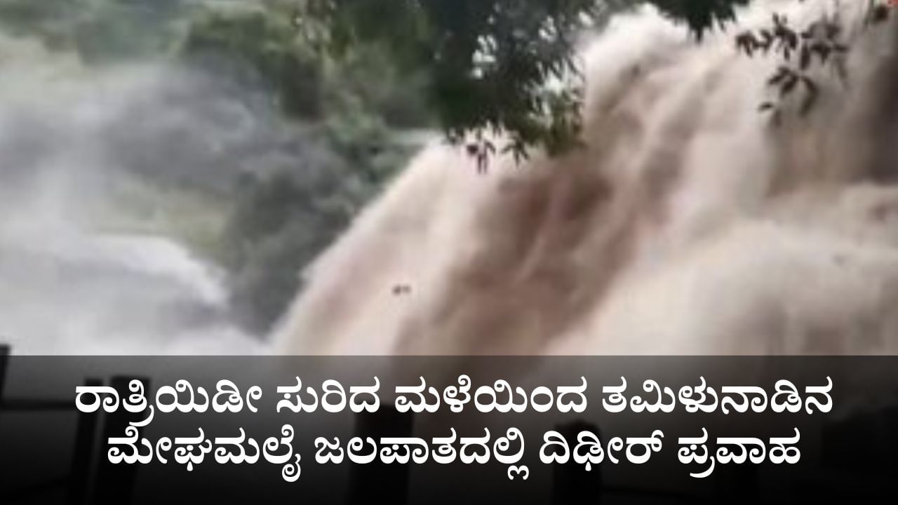 ರಾತ್ರಿಯಿಡೀ ಸುರಿದ ಮಳೆಯಿಂದ ತಮಿಳುನಾಡಿನ ಮೇಘಮಲೈ ಜಲಪಾತದಲ್ಲಿ ದಿಢೀರ್ ಪ್ರವಾಹ ರಾತ್ರಿಯಿಡೀ ಸುರಿದ ಮಳೆಯಿಂದ ತಮಿಳುನಾಡಿನ ಮೇಘಮಲೈ ಜಲಪಾತದಲ್ಲಿ ದಿಢೀರ್ ಪ್ರವಾಹ