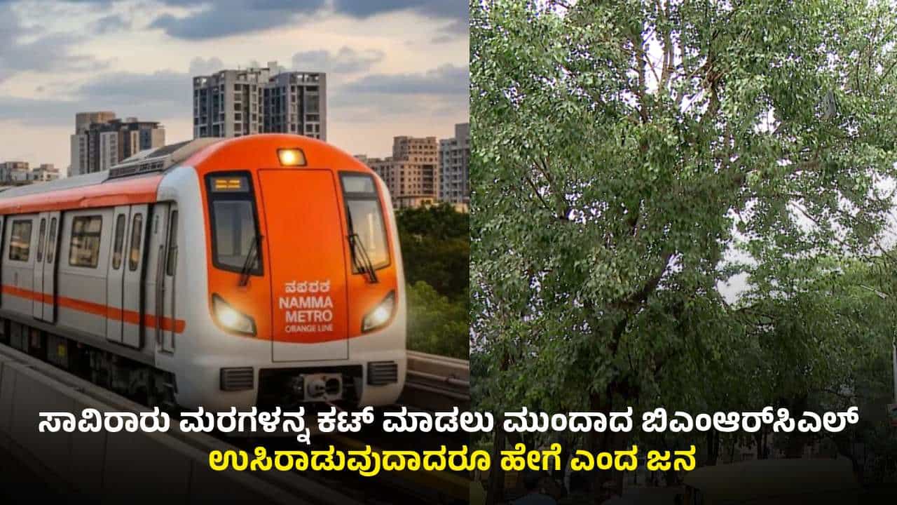ಕಿತ್ತಳೆ ಮಾರ್ಗಕ್ಕಾಗಿ ಸಾವಿರಾರು ಮರಗಳ ಮಾರಣಹೋಮಕ್ಕೆ ಮುಂದಾದ BMRCL: ಸಿಡಿದೆದ್ದ ಪರಿಸರ ಪ್ರೇಮಿಗಳು ಕಿತ್ತಳೆ ಮಾರ್ಗಕ್ಕಾಗಿ ಸಾವಿರಾರು ಮರಗಳ ಮಾರಣಹೋಮಕ್ಕೆ ಮುಂದಾದ BMRCL: ಸಿಡಿದೆದ್ದ ಪರಿಸರ ಪ್ರೇಮಿಗಳು