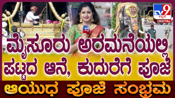 ಆಯುಧಪೂಜೆ ಹಿನ್ನೆಲೆ ಅರಮನೆಯ ಪಟ್ಟದ ಆನೆ, ಕುದುರೆ ಮತ್ತು ಹಸುಗಳಿಗೂ ಪೂಜೆ