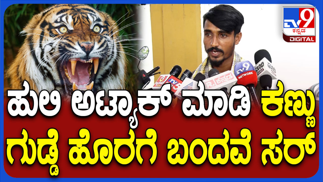 ಕಾರ್ಯಾಚರಣೆ ವೇಳೆ ಮೈ ಮೇಲೆ ಎಗರಿದ ಹುಲಿ, ಹೊರಬಂದವು ರೈತನ ಕಣ್ಣು ಗುಡ್ಡೆಗಳು