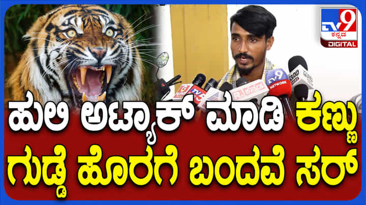 ಕಾರ್ಯಾಚರಣೆ ವೇಳೆ ಮೈ ಮೇಲೆ ಎಗರಿದ ಹುಲಿ, ಹೊರಬಂದವು ರೈತನ ಕಣ್ಣು ಗುಡ್ಡೆಗಳು ಕಾರ್ಯಾಚರಣೆ ವೇಳೆ ಮೈ ಮೇಲೆ ಎಗರಿದ ಹುಲಿ, ಹೊರಬಂದವು ರೈತನ ಕಣ್ಣು ಗುಡ್ಡೆಗಳು