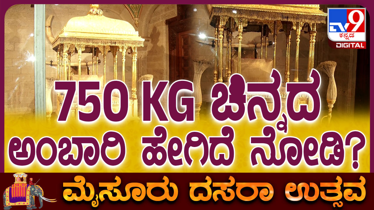 Mysuru Dasara: Exclusive Video of 750 kg Golden Ambari