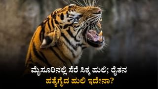 Karnataka Weather Today; ರಾಜ್ಯದ 12 ಜಿಲ್ಲೆಗಳಿಗೆ ಯೆಲ್ಲೋ ಅಲರ್ಟ್​; ಹವಾಮಾನ ಇಲಾಖೆ ಸೂಚನೆ