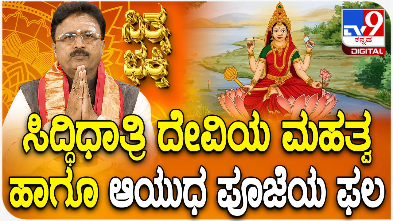 Daily Devotional: ಸಿದ್ಧಿಧಾತ್ರಿ ದೇವಿಯ ಮಹತ್ವ ಹಾಗೂ ಆಯುಧ ಪೂಜೆಯ ಫಲ ತಿಳಿಯಿರಿ Daily Devotional: ಸಿದ್ಧಿಧಾತ್ರಿ ದೇವಿಯ ಮಹತ್ವ ಹಾಗೂ ಆಯುಧ ಪೂಜೆಯ ಫಲ ತಿಳಿಯಿರಿ