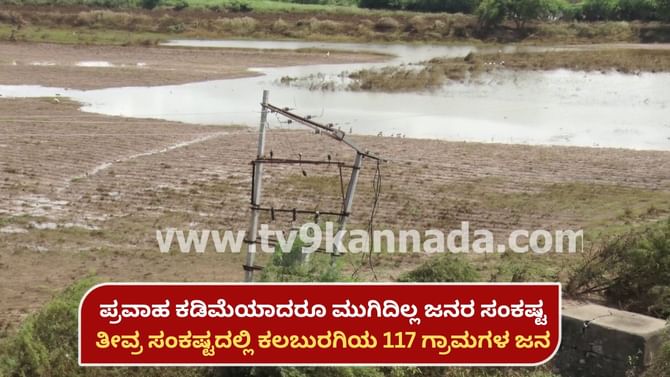 ಭೀಮಾ ಪ್ರವಾಹಕ್ಕೆ ಲಕ್ಷಾಂತರ ಹೆಕ್ಟೇರ್ ಬೆಳೆ ನಾಶ: ತೀವ್ರ ಸಂಕಷ್ಟದಲ್ಲಿ ಜನ