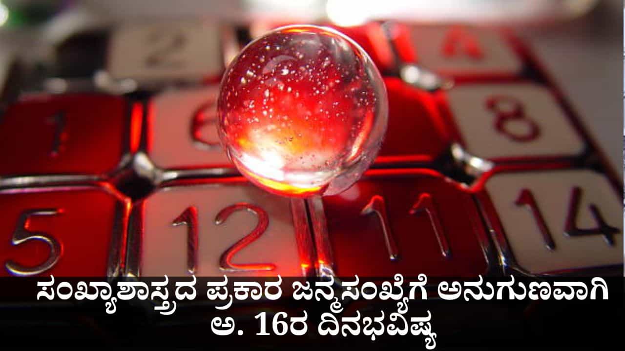 Numerology Prediction: ಸಂಖ್ಯಾಶಾಸ್ತ್ರದ ಪ್ರಕಾರ ಜನ್ಮಸಂಖ್ಯೆಗೆ ಅನುಗುಣವಾಗಿ ಅಕ್ಟೋಬರ್ 16ರ ದಿನಭವಿಷ್ಯ Numerology Prediction: ಸಂಖ್ಯಾಶಾಸ್ತ್ರದ ಪ್ರಕಾರ ಜನ್ಮಸಂಖ್ಯೆಗೆ ಅನುಗುಣವಾಗಿ ಅಕ್ಟೋಬರ್ 16ರ ದಿನಭವಿಷ್ಯ