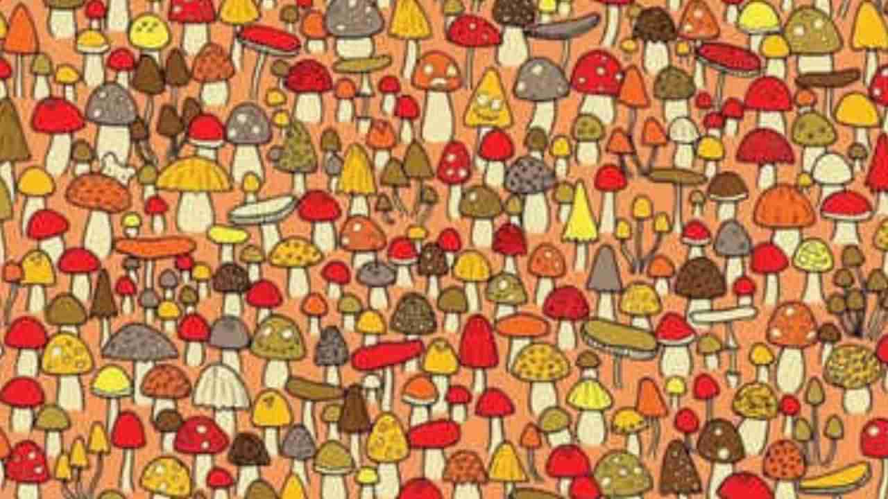 Optical Illusion: ಈ ಚಿತ್ರದಲ್ಲಿ ಅಣಬೆಗಳ ನಡುವೆ ಅಡಗಿರುವ ಇಲಿಯನ್ನು ಕಂಡುಹಿಡಿಯಿರಿ