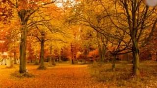 Virl: ರೈಲಿನಲ್ಲಿ ಮಹಿಳೆಗೆ ಹೆರಿಗೆ ಮಾಡಿಸಿದ ಯುವಕ, ನೀವು ದೇವರ ರೂಪ