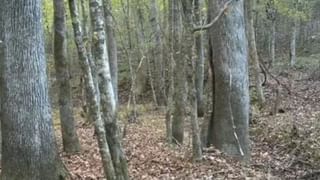 Video: ನೆರೆಹೊರೆಯ ಮಕ್ಕಳಿಗಾಗಿ ಪಟಾಕಿ ಖರೀದಿಸಿ, ದೀಪಾವಳಿ ಹಬ್ಬದ ಸಂಭ್ರಮ ಹಂಚಿದ ವ್ಯಕ್ತಿ