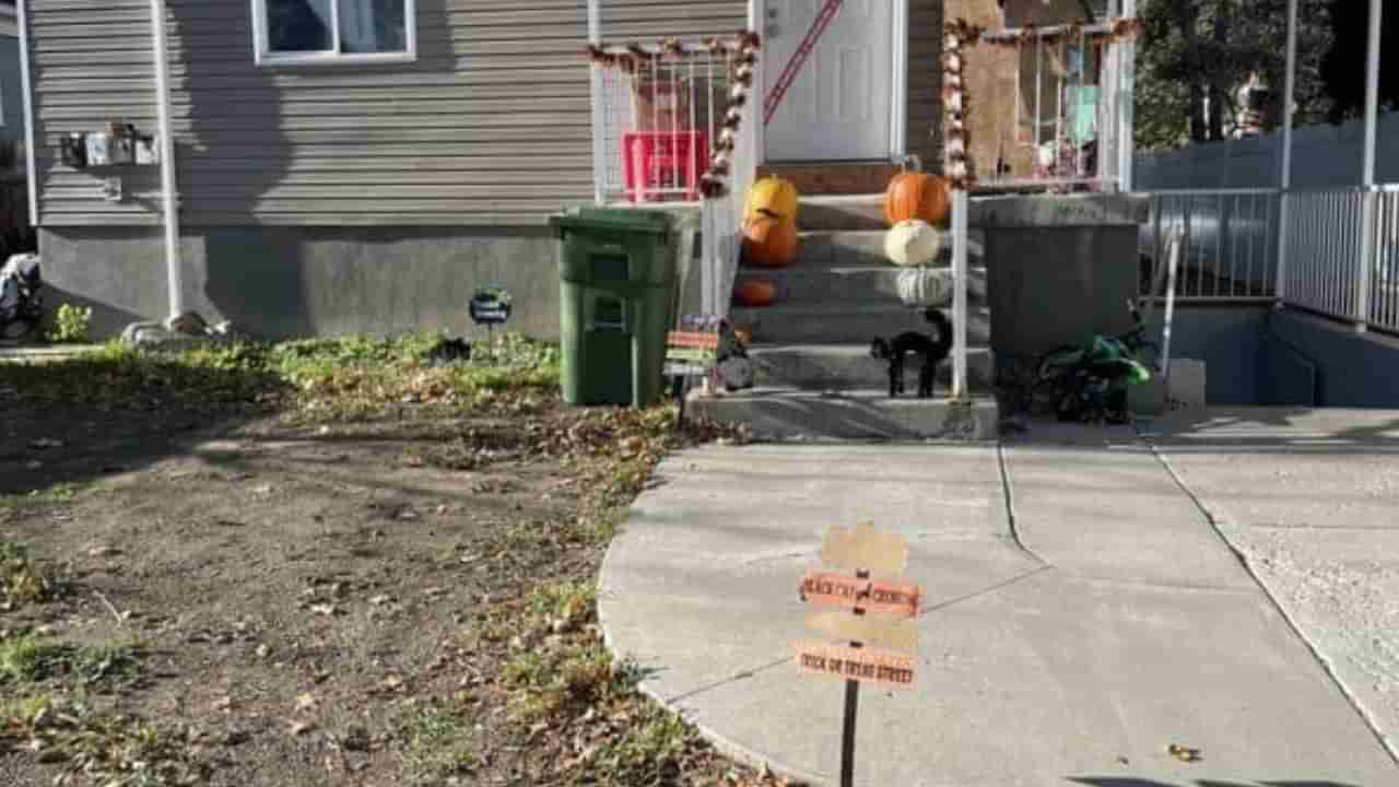 Optical Illusion: ಮನೆಯ ಹೊರಾಂಗಣದಲ್ಲಿ ಅಡಗಿ ಕುಳಿತಿರುವ ಕಪ್ಪು ಬೆಕ್ಕನ್ನು ಗುರುತಿಸಬಲ್ಲಿರಾ