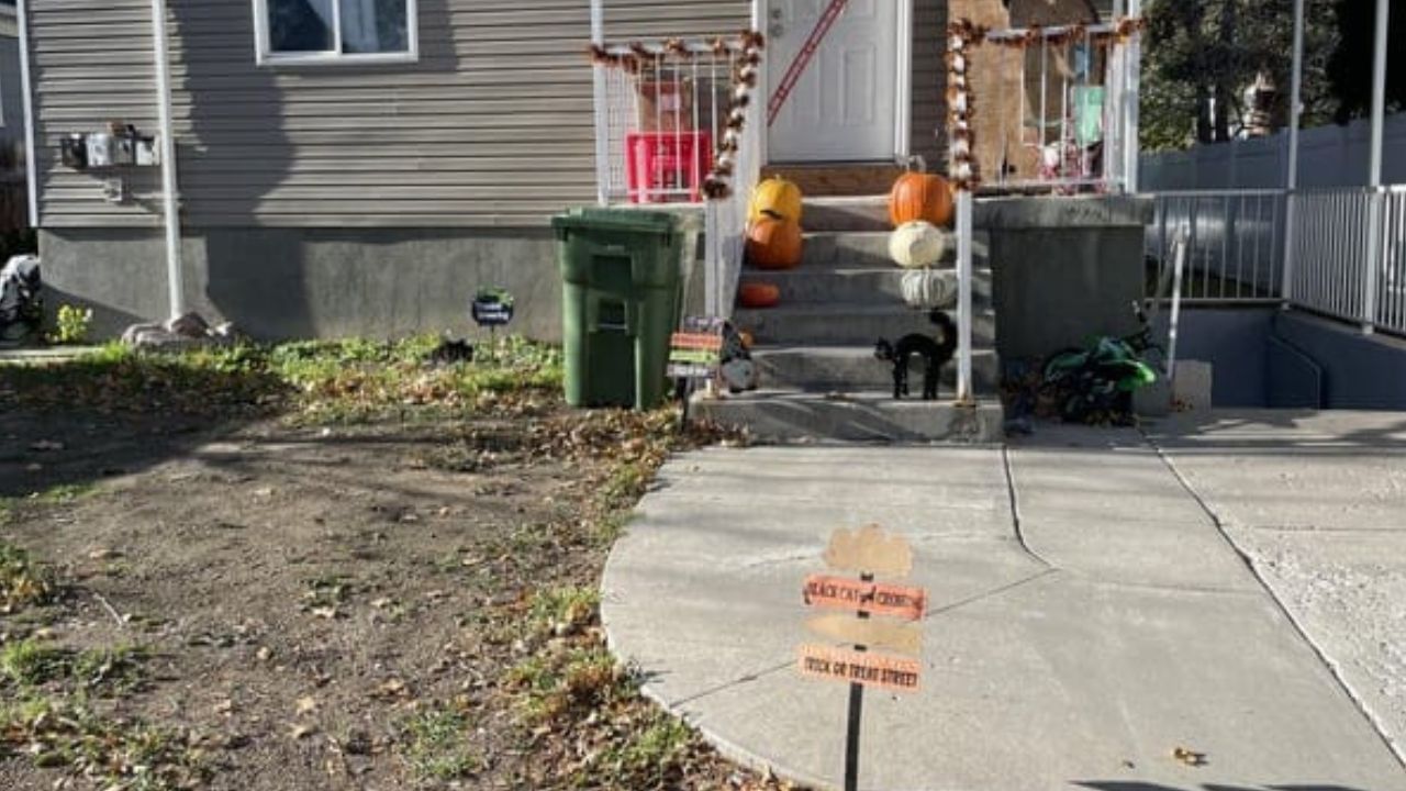 Optical Illusion: ಮನೆಯ ಹೊರಾಂಗಣದಲ್ಲಿ ಅಡಗಿ ಕುಳಿತಿರುವ ಕಪ್ಪು ಬೆಕ್ಕನ್ನು ಗುರುತಿಸಬಲ್ಲಿರಾ