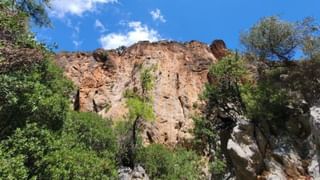 Video: ರೂಮ್‌ಗೆ ಡ್ರಾಪ್ ಮಾಡಿದ ಯುವತಿಯ ಸುರಕ್ಷತೆಗಾಗಿ ಮಧ್ಯರಾತ್ರಿಯವರೆಗೆ ಕಾದು ನಿಂತ ರ್‍ಯಾಪಿಡೋ ಡ್ರೈವರ್