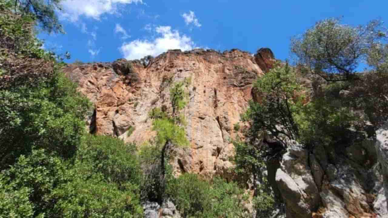 Optical Illusion: ಕಣ್ಣು ಬಿಟ್ಟು ಈ ಚಿತ್ರ ನೋಡಿ, ಇಲ್ಲಿ ಅಡಗಿರುವ ಮೇಕೆಯನ್ನು ಕಂಡುಹಿಡಿಯಿರಿ