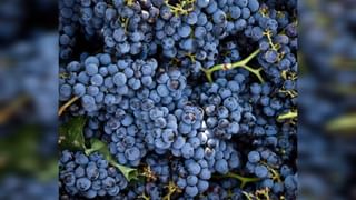 ಮಹಿಳೆಯರೇ… ಜೀವನದಲ್ಲಿ ಯಶಸ್ವಿಯಾಗಲು ಬಯಸಿದರೆ ಈ ಗುಣಗಳನ್ನು ತ್ಯಜಿಸಿ