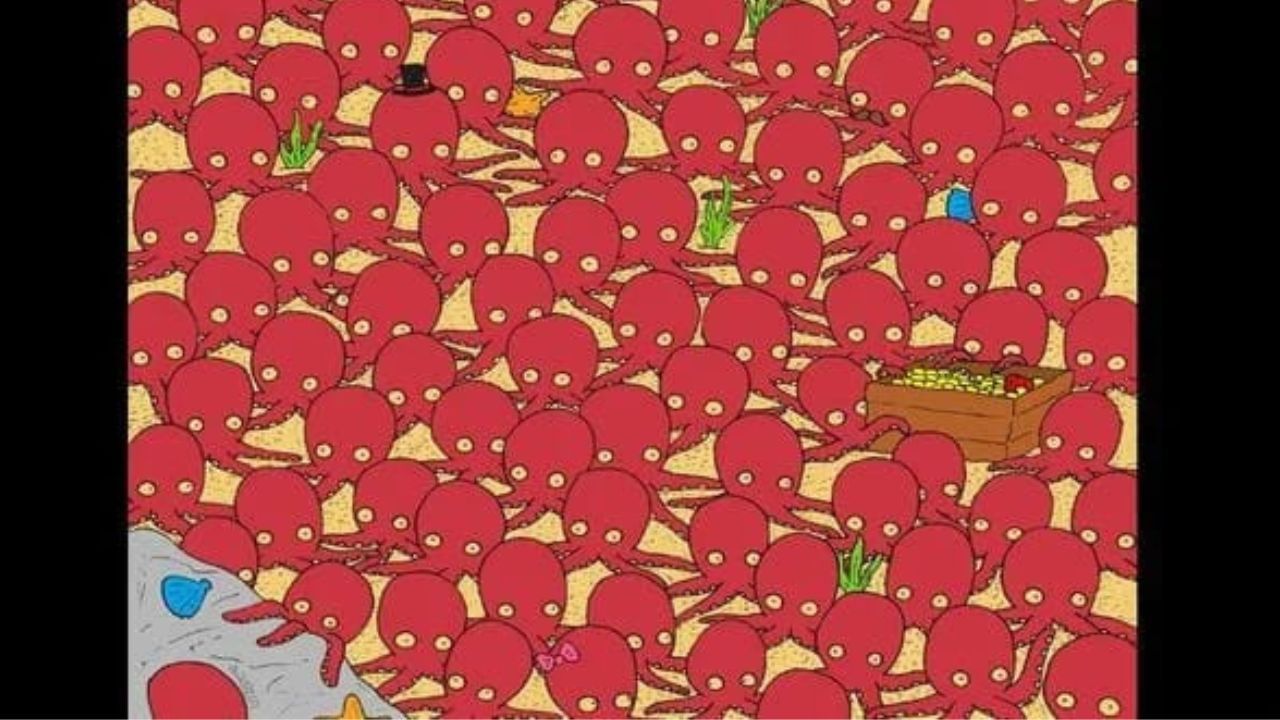 Optical Illusion: ಈ ಚಿತ್ರದಲ್ಲಿ ಅಕ್ಟೋಪಸ್‌ಗಳ ನಡುವೆ ಅಡಗಿದೆ ಮೀನು, 10 ಸೆಕೆಂಡುಗಳಲ್ಲಿ ಕಂಡುಹಿಡಿಯಿರಿ