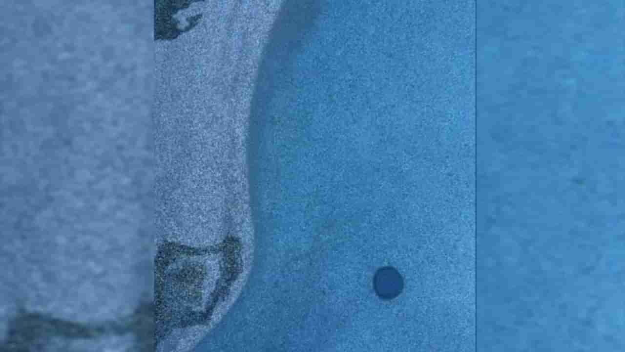 Optical Illusion: ಜಸ್ಟ್ 10 ಸೆಕೆಂಡುಗಳಲ್ಲಿ ಈ ಚಿತ್ರದಲ್ಲಿ ಅಡಗಿರುವ ಕಪ್ಪೆಯನ್ನು ಕಂಡು ಹಿಡಿಯಿರಿ