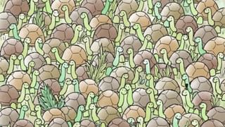 Video: ಹೆಂಡ್ತಿ ಬಾಯ್ ಫ್ರೆಂಡ್ ಜೊತೆಯಲ್ಲಿರುವಾಗಲೇ ಪ್ರತ್ಯಕ್ಷನಾದ ಗಂಡ, ಮುಂದೇನಾಯ್ತು ನೋಡಿ