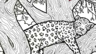 Video: ಟಿಕೆಟ್ ಇಲ್ಲದೇ ಎಸಿ ಕೋಚ್‌ನಲ್ಲಿ ಪ್ರಯಾಣ; ಟಿಸಿಯ ಶಿರಚ್ಛೇದ ಮಾಡುವುದಾಗಿ ಬೆದರಿಕೆ ಹಾಕಿದ ಮಹಿಳೆ