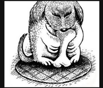 Optical Illusion Answer