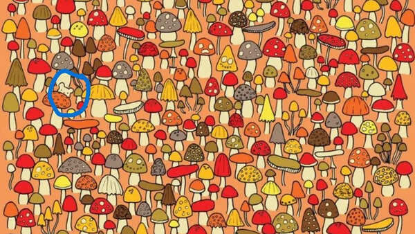 Optical Illusion Answer