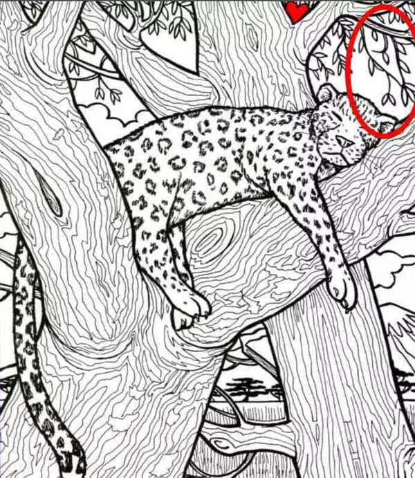 Optical Illusion Answer