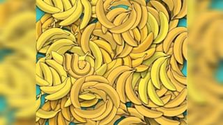 Chanakya Niti: ಅಪ್ಪಿತಪ್ಪಿಯೂ ಈ ಐದು ಸ್ಥಳಗಳಿಗೆ ಕಾಲಿಡಬೇಡಿ ಎನ್ನುತ್ತಾರೆ ಚಾಣಕ್ಯ