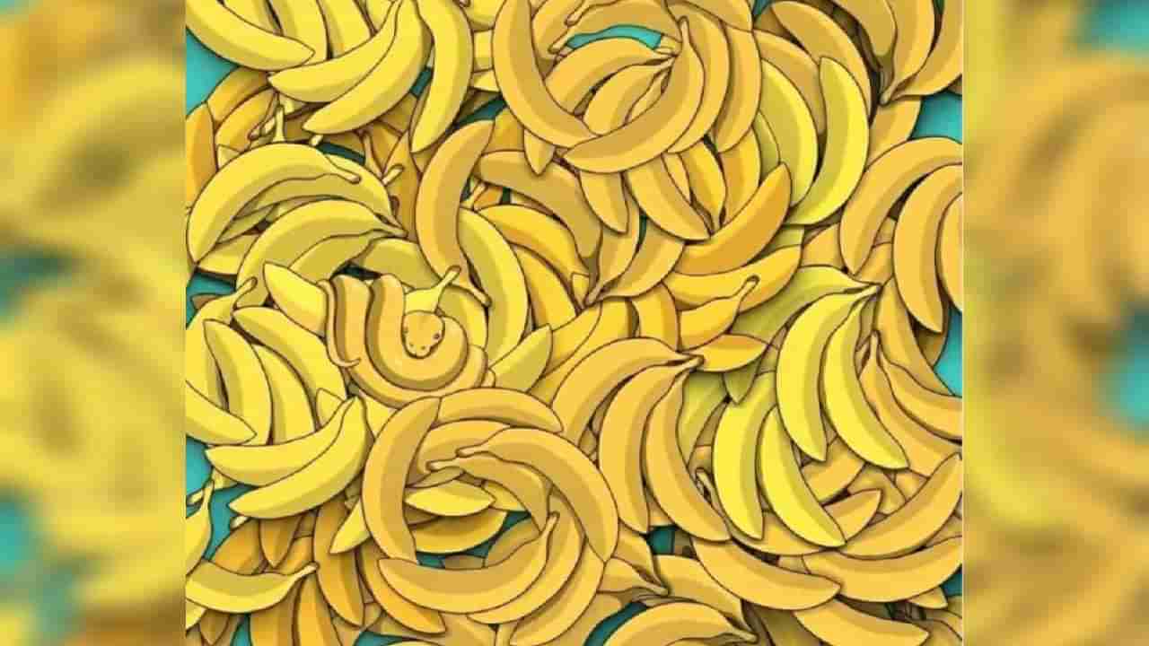 Optical Illusion: ಬಾಳೆಹಣ್ಣುಗಳ ನಡುವೆ ಅಡಗಿರುವ ಹಾವನ್ನು 15 ಸೆಕೆಂಡುಗಳಲ್ಲಿ ಪತ್ತೆಹಚ್ಚಿದರೆ ನೀವೇ ಬುದ್ಧಿವಂತರು