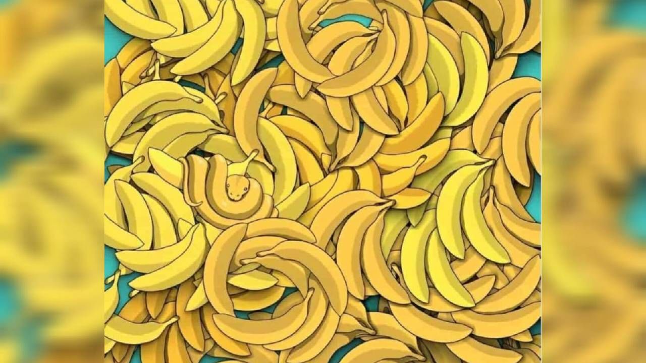 Optical Illusion: ಬಾಳೆಹಣ್ಣುಗಳ ನಡುವೆ ಅಡಗಿರುವ ಹಾವನ್ನು 15 ಸೆಕೆಂಡುಗಳಲ್ಲಿ ಪತ್ತೆಹಚ್ಚಿದರೆ ನೀವೇ ಬುದ್ಧಿವಂತರು