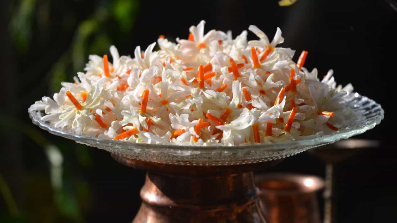 ಈ ಹೂವಿನಿಂದ ನಿಮ್ಮ ಒತ್ತಡ ಕಡಿಮೆ ಮಾಡಿಕೊಳ್ಳಬಹುದು! ಹೇಗೆ ಎಂಬುದನ್ನು ಈ ಸ್ಟೋರಿ ಮೂಲಕ ತಿಳಿಯಿರಿ ಈ ಹೂವಿನಿಂದ ನಿಮ್ಮ ಒತ್ತಡ ಕಡಿಮೆ ಮಾಡಿಕೊಳ್ಳಬಹುದು! ಹೇಗೆ ಎಂಬುದನ್ನು ಈ ಸ್ಟೋರಿ ಮೂಲಕ ತಿಳಿಯಿರಿ